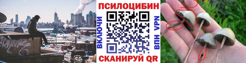 хочу   Кинель  MEGA маркетплейс  Галлюциногенные грибы Psilocybine cubensis 