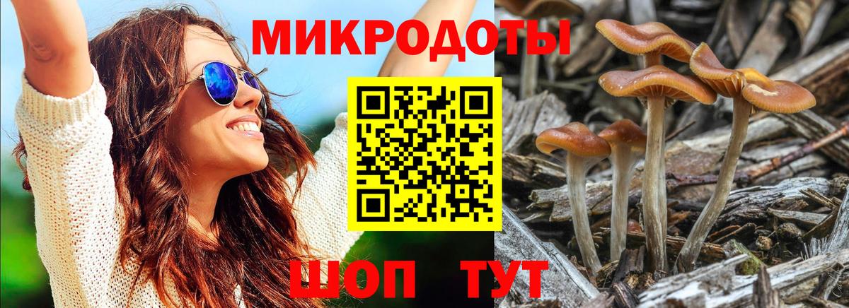 Псилоцибиновые грибы мицелий Кинель