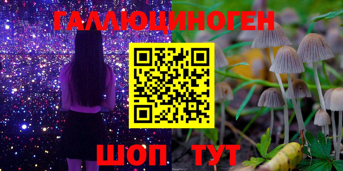 Кинель  Псилоцибиновые грибы MAGIC MUSHROOMS  Вход с VPN 